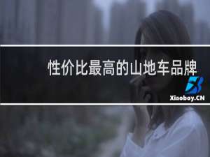性价比最高的山地车品牌