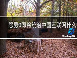 怨男0即将统治中国互联网什么梗