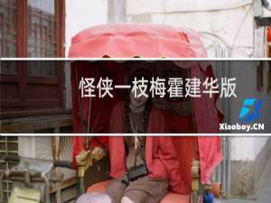 怪侠一枝梅霍建华版