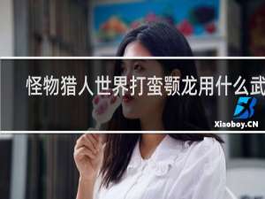 怪物猎人世界打蛮颚龙用什么武器