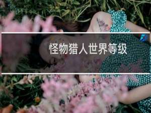 怪物猎人世界等级