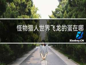 怪物猎人世界飞龙的蛋在哪