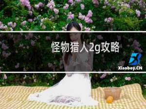 怪物猎人2g攻略