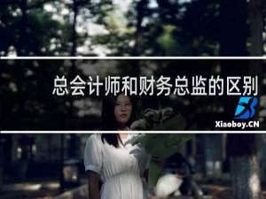 总会计师和财务总监的区别