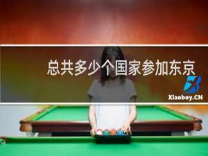 总共多少个国家参加东京奥运会