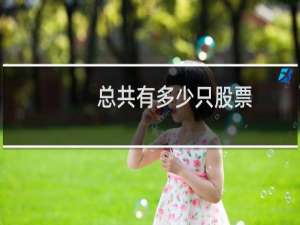总共有多少只股票
