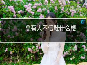 总有人不信鞋什么梗