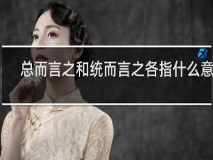 总而言之和统而言之各指什么意思