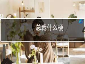 总裁什么梗