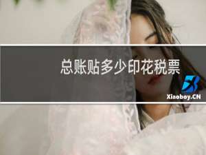 总账贴多少印花税票