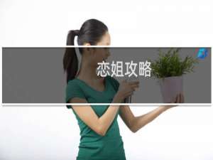 恋姐攻略