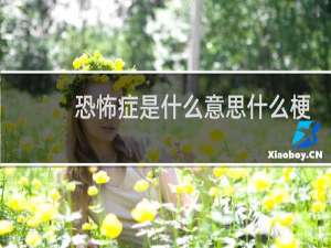 恐怖症是什么意思什么梗
