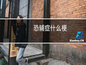 恐辅症什么梗