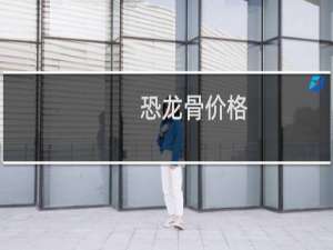 恐龙骨价格
