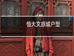 恒大文旅城户型