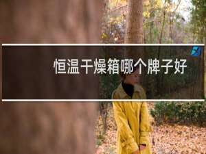 恒温干燥箱哪个牌子好