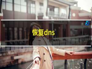 恢复dns