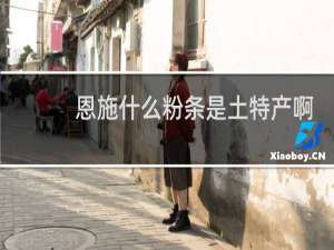 恩施什么粉条是土特产啊