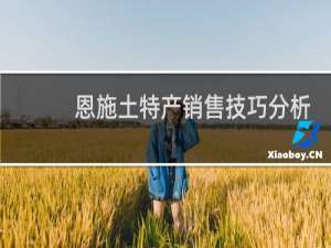 恩施土特产销售技巧分析