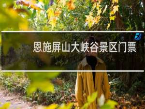 恩施屏山大峡谷景区门票