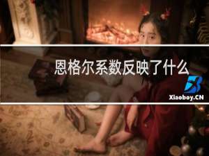 恩格尔系数反映了什么