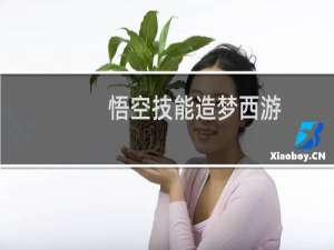 悟空技能造梦西游