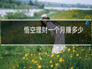 悟空理财一个月赚多少