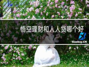 悟空理财和人人贷哪个好