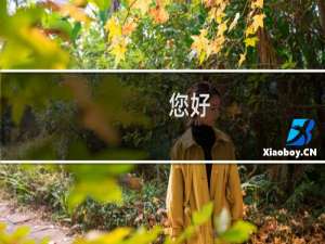 您好，我的备案显示取消接入中