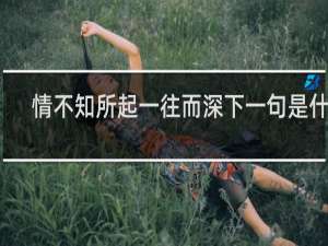 情不知所起一往而深下一句是什么