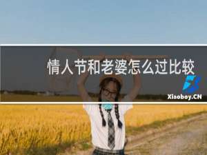 情人节和老婆怎么过比较浪漫