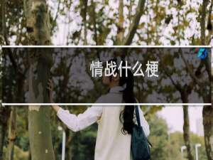 情战什么梗
