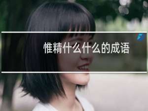惟精什么什么的成语
