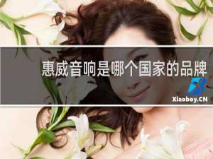 惠威音响是哪个国家的品牌