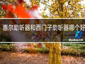 惠尔助听器和西门子助听器哪个好一些