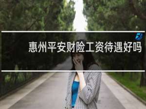 惠州平安财险工资待遇好吗