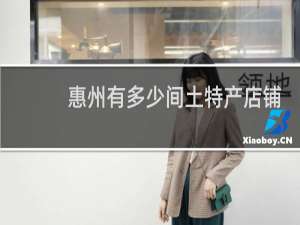 惠州有多少间土特产店铺