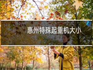 惠州特殊起重机大小