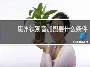 惠州铁观音加盟要什么条件
