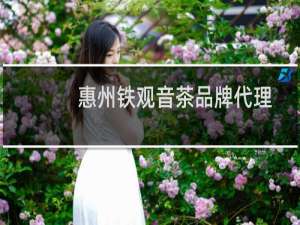 惠州铁观音茶品牌代理