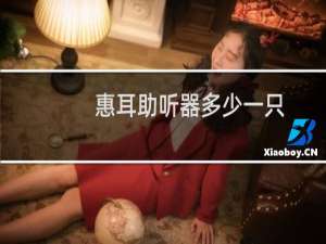 惠耳助听器多少一只