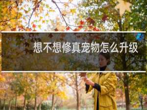 想不想修真宠物怎么升级