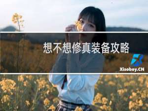 想不想修真装备攻略