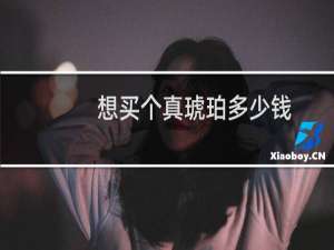 想买个真琥珀多少钱