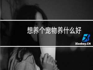 想养个宠物养什么好