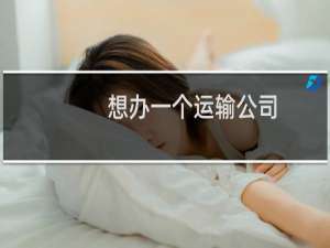 想办一个运输公司