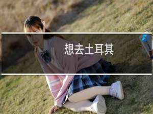 想去土耳其