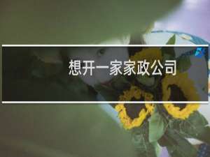 想开一家家政公司