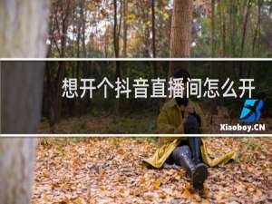 想开个抖音直播间怎么开