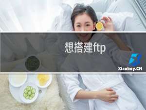 想搭建ftp，服务器里找不到网站管理助手
